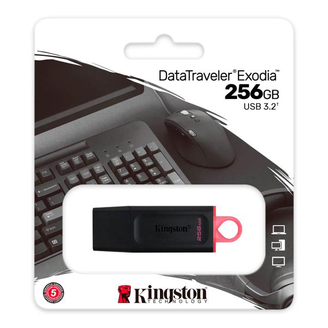 FLASH MEMORY KINGSTON DATA TRAVELE EXODIA DTX 256GB USB 3.2